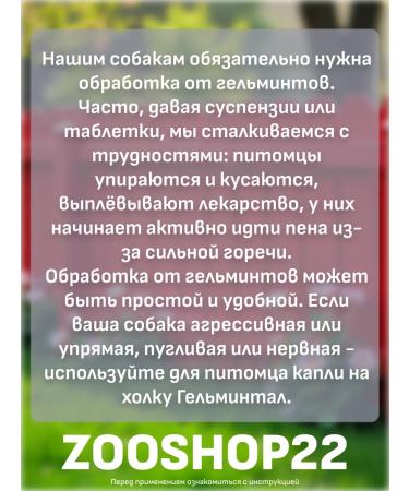 Neoterica Helminatal STRTS Drops from worms for dogs from 10 kg - Buy Online on GoSupps.com