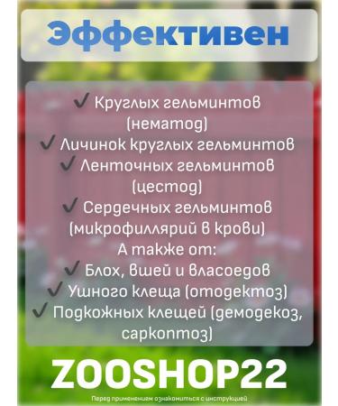 Neoterica Helminatal STRTS Drops from worms for dogs from 10 kg - Buy Online on GoSupps.com