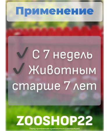 Neoterica Helminatal STRTS Drops from worms for dogs from 10 kg - Buy Online on GoSupps.com