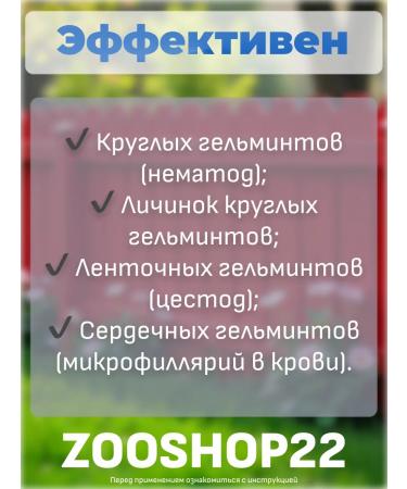 Neoterica Helmintal tablets from worms for dogs from 10 kg 2 pcs - Buy Online on GoSupps.com