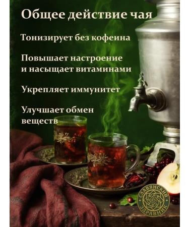 SLAVIC HEALTH RESEARCHER Gift tea with border premium fruit mix 100g - Buy Online on GoSupps.com
