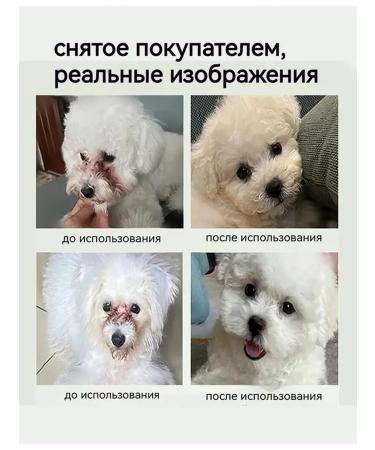 Drops for the eyes of dogs and cats 20ml - Buy Online on GoSupps.com