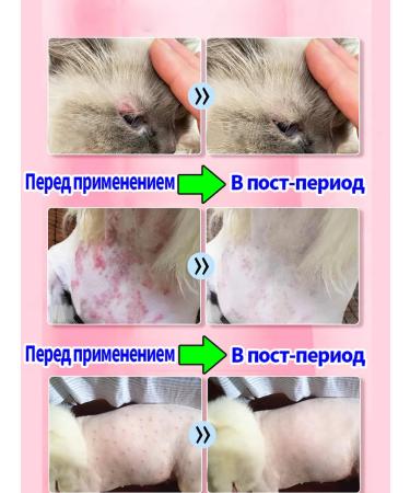 from lichen for cats and dogs 100 ml - Buy Online on GoSupps.com