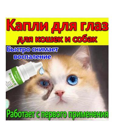 Eye drops for cats and dogs from conjunctivitis 60 ml