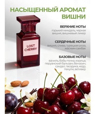 ULMIX Shampoo and hair balm Salusfant Lost Cherry - Buy Online on GoSupps.com