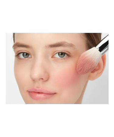 Influence Beauty Blood compact 4 - Buy Online on GoSupps.com