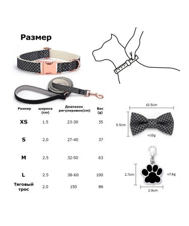 Individual set of dogs for dogs - Buy Online on GoSupps.com