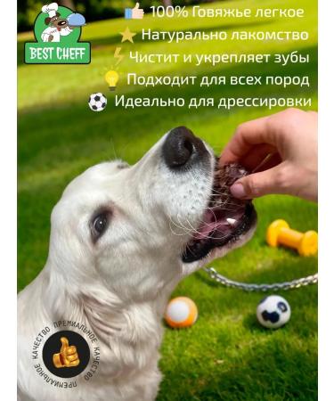 Best Chef Light beef 500 grams - Buy Online on GoSupps.com