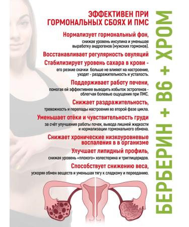 FENZI Berberin with chrome and B6 natural weight loss complex - Buy Online on GoSupps.com