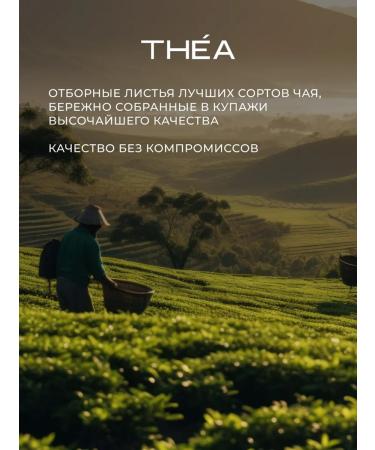 THEA Tea black leaf tayzhi collection Just Tea - Buy Online on GoSupps.com