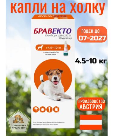 bravecto Stitch he is drops of dogs for dogs 4.5-10 kg