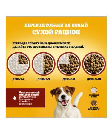 PEDIGREE Dry food for small dogs with beef 4x2kg - Buy Online on GoSupps.com