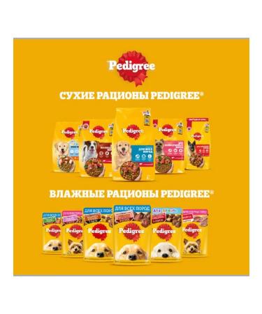 PEDIGREE Dry food for small dogs with beef 4x2kg - Buy Online on GoSupps.com
