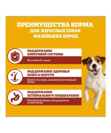 PEDIGREE Dry food for small dogs with beef 4x2kg - Buy Online on GoSupps.com