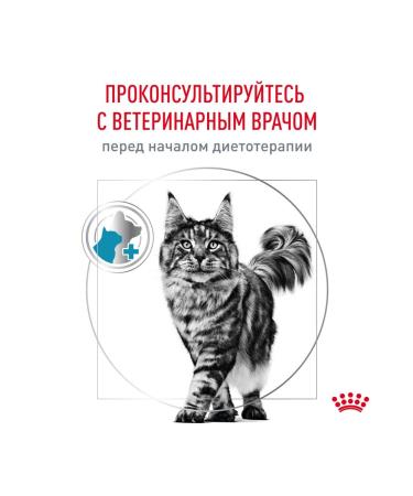 ROYAL CANIN Dry hypoallergenic food for adult cats 2 kg - Buy Online on GoSupps.com
