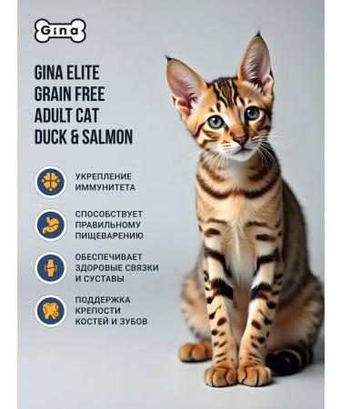 Gina Elite Dry Bezern Bezerny food for cats with duck and salmon 3 kg - Buy Online on GoSupps.com