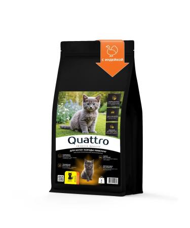 QUATTRO Dry food for kittens of the Nibelung breed with turkey 2kg