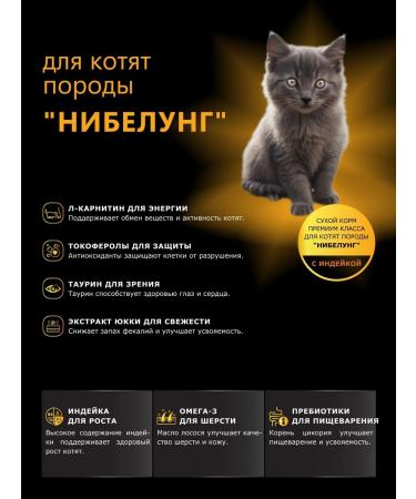QUATTRO Dry food for kittens of the Nibelung breed with turkey 2kg - Buy Online on GoSupps.com