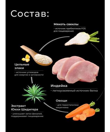 QUATTRO Dry food for kittens of the Nibelung breed with turkey 2kg - Buy Online on GoSupps.com