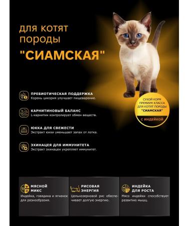 QUATTRO Dry food for kittens of the Siamese breed with turkey 2kg - Buy Online on GoSupps.com