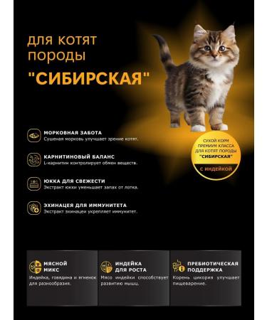 QUATTRO Dry food for kittens of Siberian breeds with turkey 2kg - Buy Online on GoSupps.com