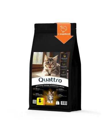 QUATTRO Feed for kittens of the Norwegian forestry turkey 2kg