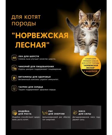 QUATTRO Feed for kittens of the Norwegian forestry turkey 2kg - Buy Online on GoSupps.com