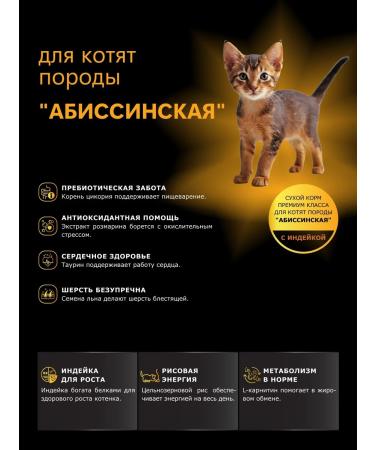 QUATTRO Dry food for kittens of the Abyssinian breed with turkey 2kg - Buy Online on GoSupps.com