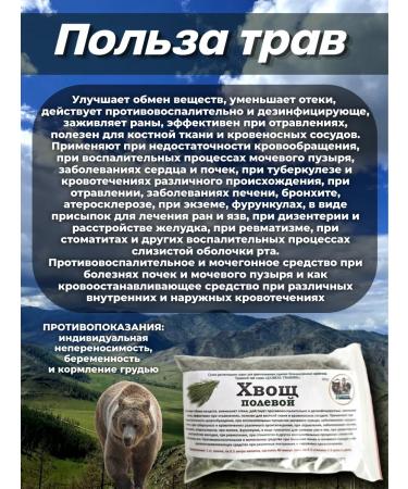 Danila Travnik Horsetail of field 60g - Buy Online on GoSupps.com