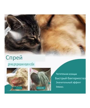 Spray from cutting lichen for cats and dogs 30m - Buy Online on GoSupps.com