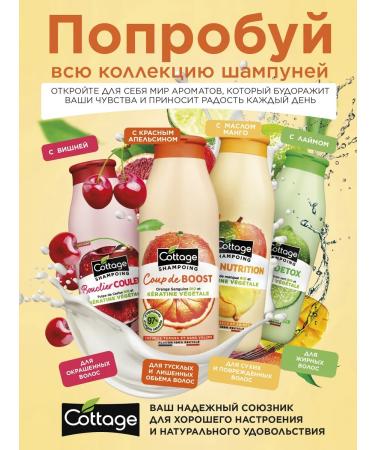 Cottage Shampoo for dry and damaged hair power supply 250 ml - Buy Online on GoSupps.com