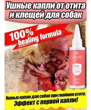 Drops for the treatment of otitis media in dogs and cats