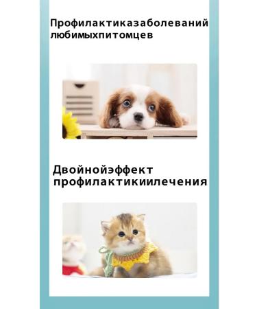 Vitamins for dogs liquid fodder additive - Buy Online on GoSupps.com