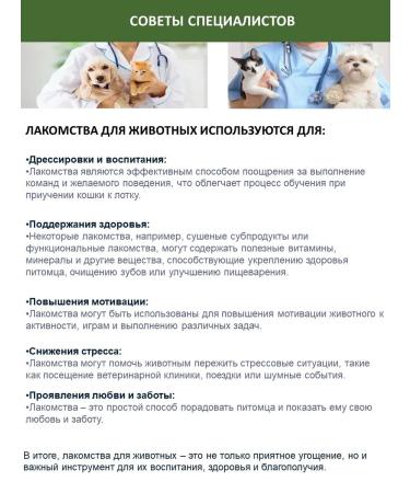 TiTBiT Glass for dogs of large breeds with beef 270 g - Buy Online on GoSupps.com