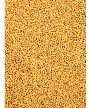 OREXLAND Mustard in grains of 1 kg for salting of cucumbers and conservation - Buy Online on GoSupps.com