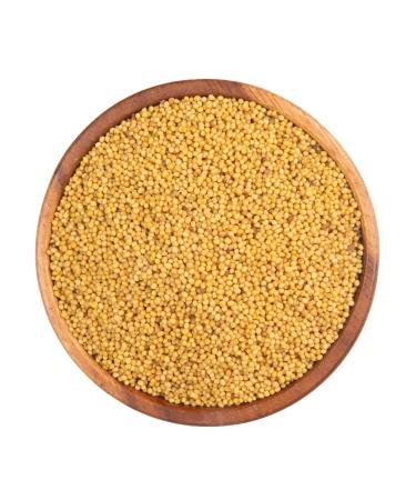 OREXLAND Mustard in 500 g grains for salting of cucumbers and conservation - Buy Online on GoSupps.com