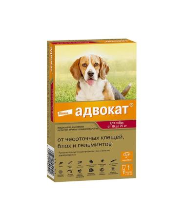Lawyer Drops for dogs 10-25 kg 1 pitch
