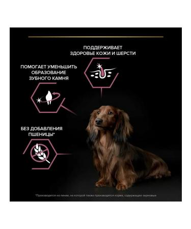 PRO PLAN For dogs of small breeds with salmon 7 kg - Buy Online on GoSupps.com
