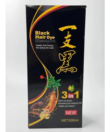 ShaStyle1 Slampoon for hair from gray hair without ammonia - Buy Online on GoSupps.com