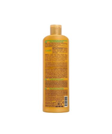 SoWell Shampoo for all hair types Basic Care 500 ml 2 pcs - Buy Online on GoSupps.com