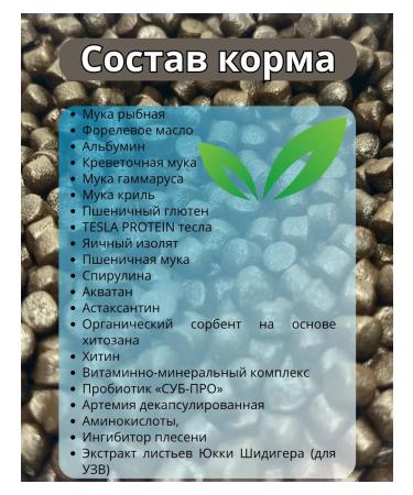 fishaqua Foreste fodder 250g sinking products of 8mm - Buy Online on GoSupps.com