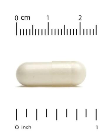 California Gold Nutrition California Gold Monohydrate Creatine 240 plant caps - Buy Online on GoSupps.com