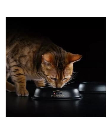 PRO PLAN Sterilated Renal plus for cats 400 g rabbit - Buy Online on GoSupps.com