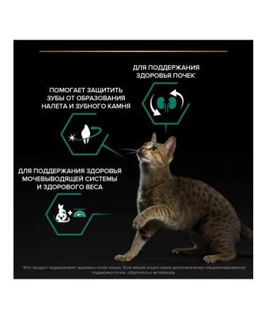 PRO PLAN Sterilated Renal plus for cats 400 g rabbit - Buy Online on GoSupps.com