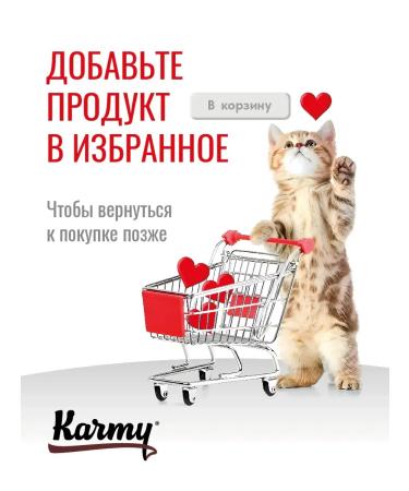 KARMY Cat food dry British shorthair adult turkey 10 kg - Buy Online on GoSupps.com