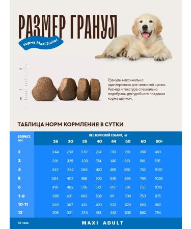 KARMY Dog food dry maxi junior turkey 14 kg - Buy Online on GoSupps.com