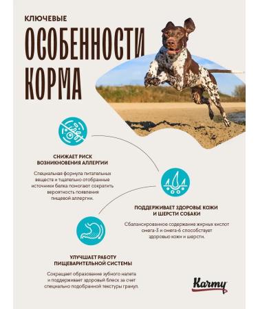 KARMY Dog food dry Hypoallergenic lamb 2 kg - Buy Online on GoSupps.com