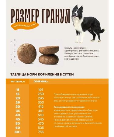 KARMY Dog food dry Active Medium & Maxi turkey 2 kg - Buy Online on GoSupps.com