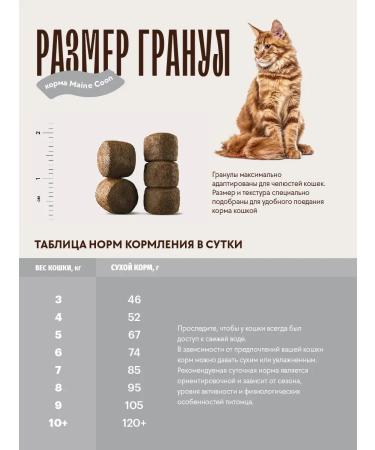 KARMY Dry food for cats Main Coon 1.5 kg turkey - Buy Online on GoSupps.com