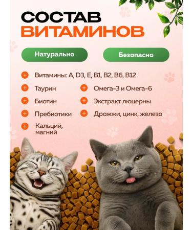 RedDog Multivitamins - Cat treats 8 in 1 - Buy Online on GoSupps.com